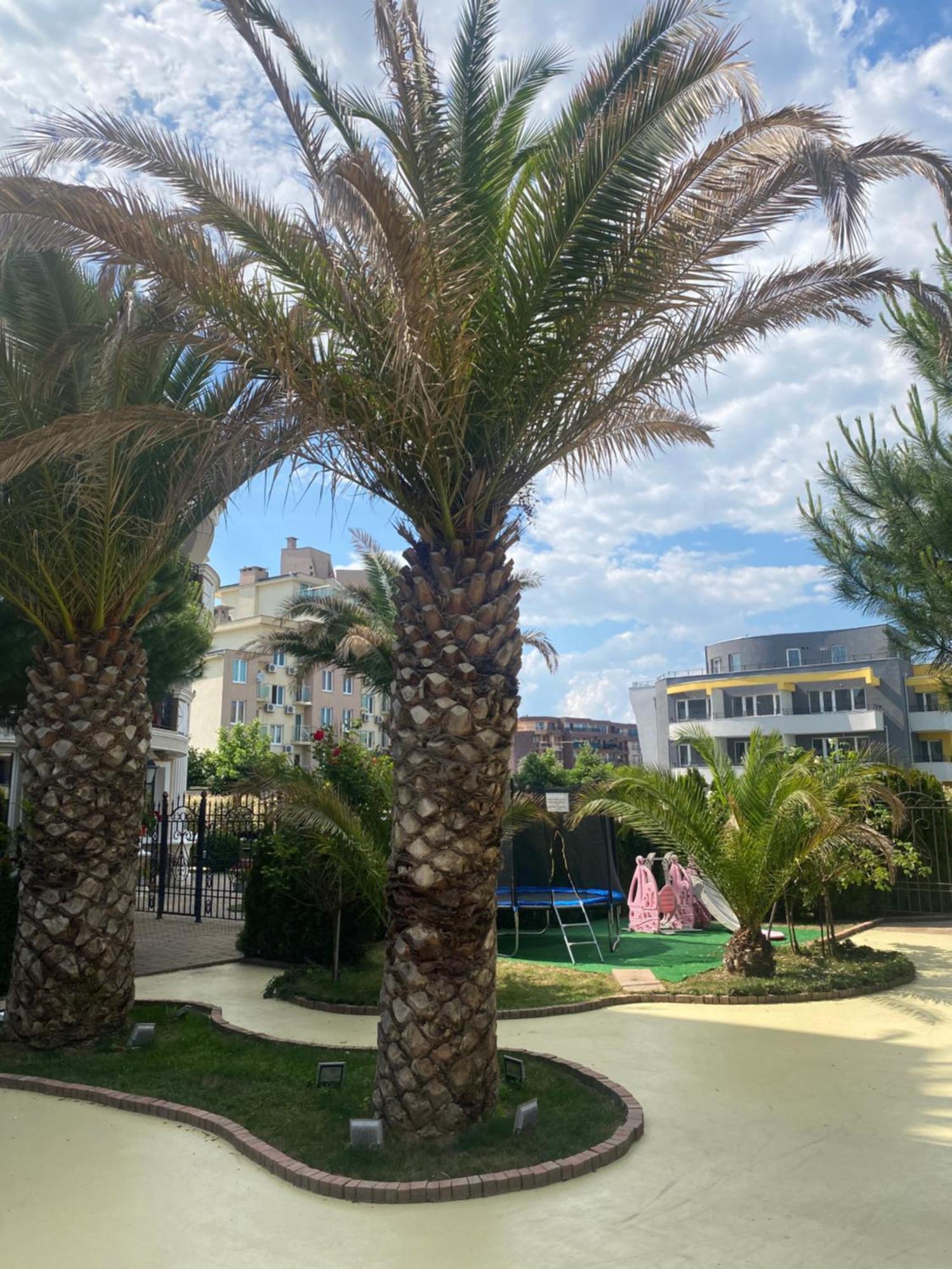Messembria B504 Studio Sunny Beach Buitenkant foto